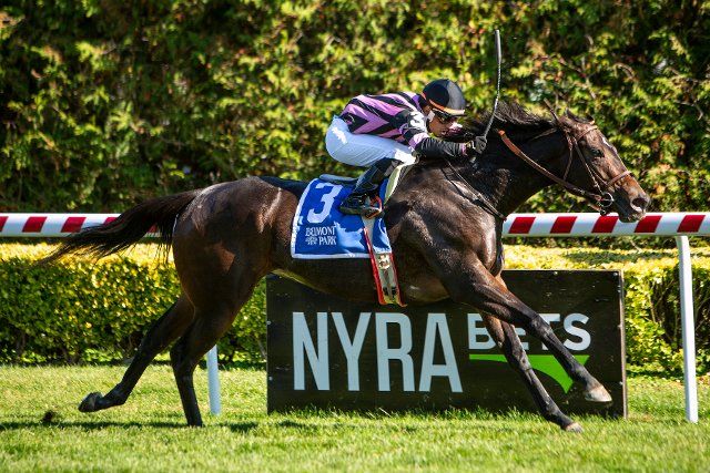 October 22, 2022, Ozone Park, NY, USA: October 22, 2022: Evvie Jets, #3, ridden by Eric Cancel wins the Grade 3 Noble Damsel Stakes, on the turf at Aqueduct Racetrack in South Ozone Park, N.Y. on October 22, 2022. Sue Kawczynski\/Eclipse Sportswire