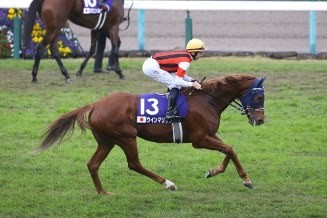 Win Marilyn and Damian Lane before the Queen Elizabeth 2 Cup at Hanshin Racecourse in Hyogo, Japan, November 13, 2022. (Photo by Eiichi Yamane\/AFLO