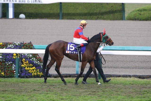 Lilac and Mirco Demuro before the Queen Elizabeth 2 Cup at Hanshin Racecourse in Hyogo, Japan, November 13, 2022. (Photo by Eiichi Yamane\/AFLO