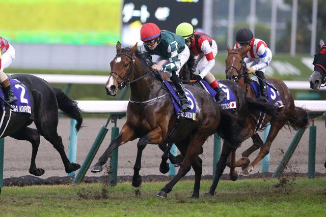 Magical Lagoon and Shane Foley during the Queen Elizabeth 2 Cup at Hanshin Racecourse in Hyogo, Japan, November 13, 2022. (Photo by Eiichi Yamane\/AFLO