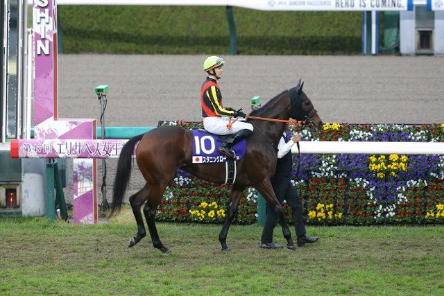 Stunning Rose and Ryusei Sakai before the Queen Elizabeth 2 Cup at Hanshin Racecourse in Hyogo, Japan, November 13, 2022. (Photo by Eiichi Yamane\/AFLO