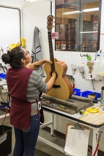 Workers building and assembling guitars at the Taylor Guitar factory in Tecate, Mexico. This worker is attaching the neck to the guitar body