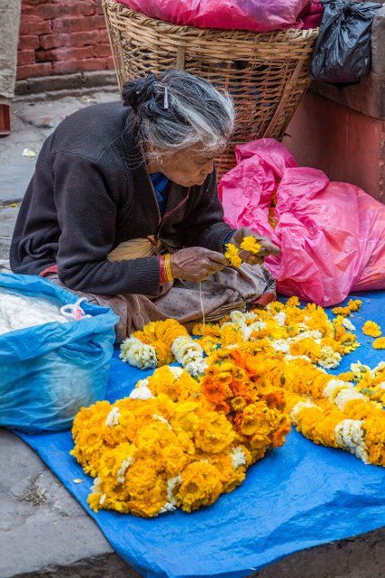 An older Nepali woman strings flowers to make garlands for religious offerings at Hindu temples in Kathmandu, Nepal