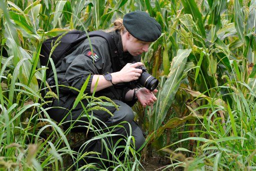 A police officer takes photos of possible traces in a corn field in Grefrath (district Viersen) Germany 10 September 2010. In search of a ten-year-old boy that is missing since one week the police targets specific clues. Meanwhile investigators ...