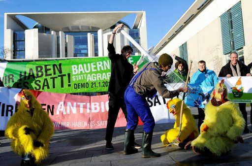 Activists from the league "Meine Landwirtschaft" (My Aggriculture) protest against the introduction of antibiotics in factory farmin in front of the Federal Chancellery in Berlin, Germany, 18 January 2012. "Chickens" demonstrated with signs and ...