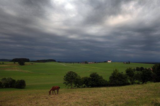 A horse grazes in a field under a cloud-filled sky near Huttenwang, Germany, 08 July 2012. Photo: Karl-Josef
