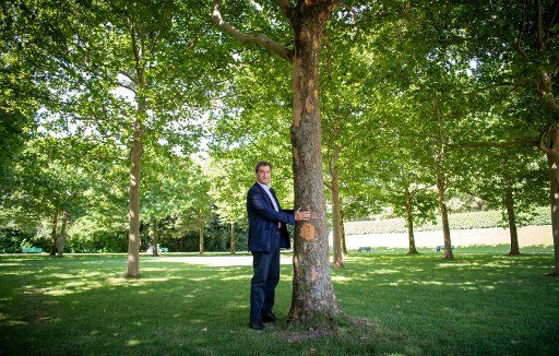 10 July 2019, Bavaria, Munich: Markus Söder (CSU), Prime Minister of Bavaria, stands next to a tree in the courtyard garden behind the Bavarian State Chancellery. Söder presented new climate protection requirements in a press conference on Wednesday - including the planned planting of millions of additional trees. Photo: Peter Kneffel\/