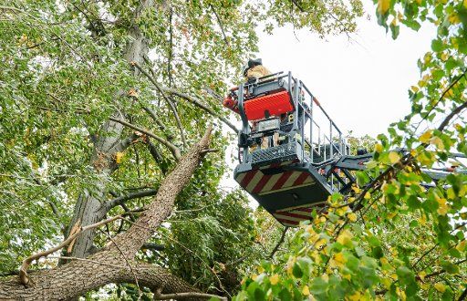 30 September 2019, Berlin: Firefighters dismember a tree in Weißensee that was overthrown by the autumn storm "Mortimer". Photo: Annette Riedl\/