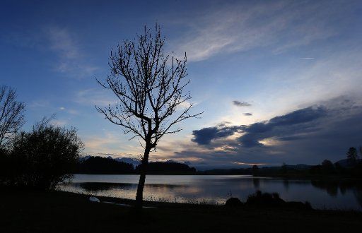 19 October 2019, Bavaria, Roßhaupten: A bare tree stands at dusk on the shore of Lake Illasberg. Photo: Karl-Josef Hildenbrand\/