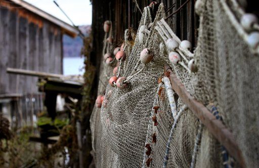 28 November 2019, Bavaria, Dießen: Fishing nets hang from a boathouse on the shore of Ammersee lake. Photo: Karl-Josef Hildenbrand\/