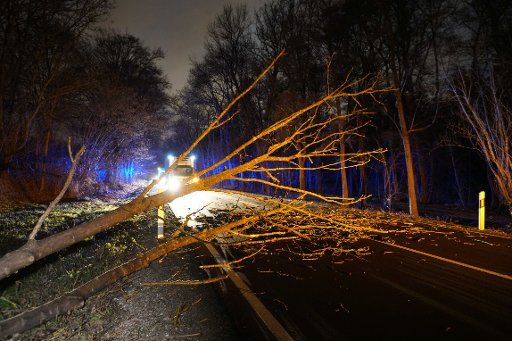 10 February 2020, Baden-Wuerttemberg, Mittlere Filderstrasse, Stuttgart: A tree that was knocked down by the storm "Sabine" lies on a road. Photo: Sven Kohls\/