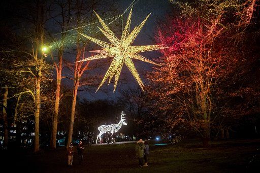 21 December 2020, Bremen: Large glowing deer and a poinsettia can be seen in the ramparts. Photo: Sina Schuldt\/dpa