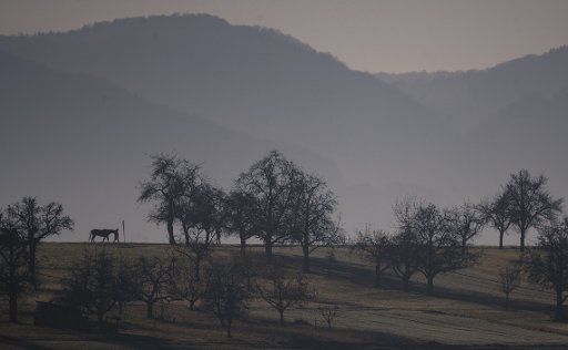 18 November 2020, Baden-Wuerttemberg, Walddorfhäslach: A walker on horseback is on a meadow with fruit trees in front of the panorama of the Swabian Alb. Photo: Sebastian Gollnow\/dpa