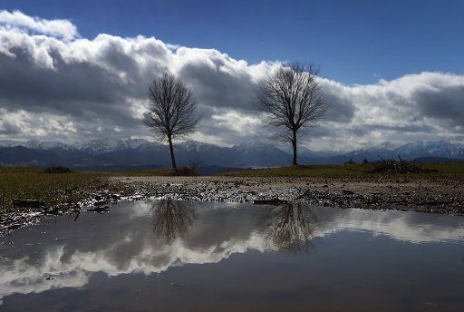 12 March 2021, Bavaria, Stötten: Trees and the sky are reflected in a rain puddle on the 1055 meter high Auerberg in front of the panorama of the Alps. Photo: Karl-Josef Hildenbrand\/dpa