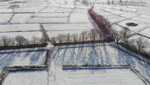 31 January 2021, Berlin: Trees cast long shadows on the fields in the Berlin countryside near Kladow. (Drone shot) Photo: Kay Nietfeld\/dpa