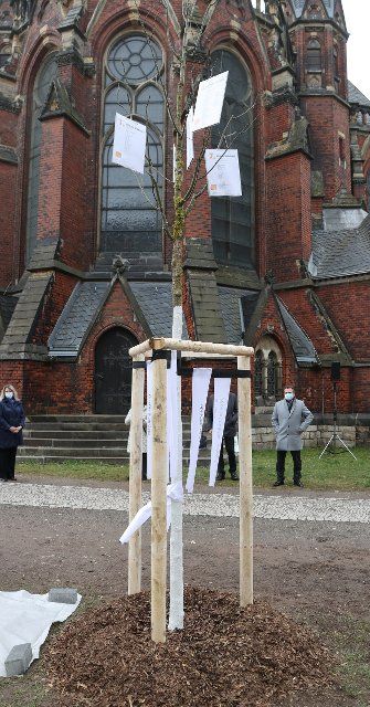 23 March 2021, Thuringia, Gera: A "Japanese string tree" stands in front of St. John\