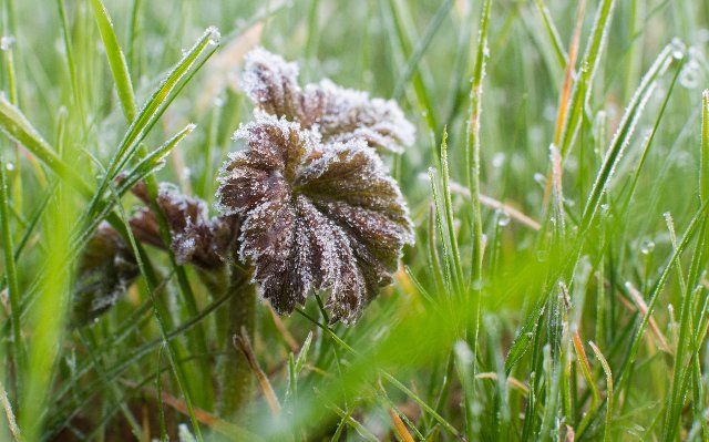 13 April 2021, Lower Saxony, Laatzen: Ice crystals cover a meadow in the early morning. In parts of Lower Saxony, the thermometer dropped below freezing during the night. Photo: Julian Stratenschulte\/dpa