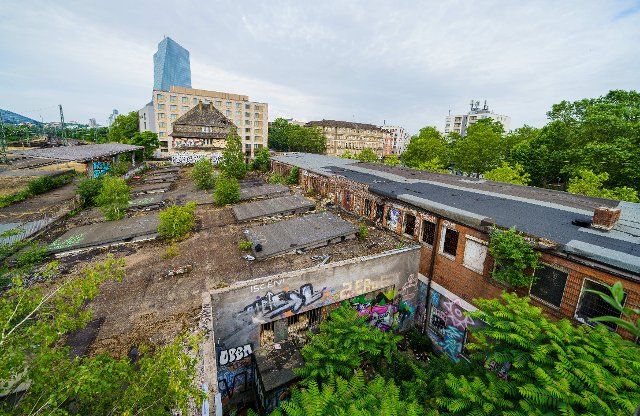 27 June 2021, Hessen, Frankfurt\/Main: The vegetation has overgrown large parts of the Alter Ostbahnhof. A possible new construction with redesign of the Danziger Platz in front of the station is dragging on. Photo: Andreas Arnold\/dpa