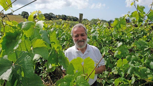 11 August 2021, Ireland, Kinsale: Thomas Walk stands on his vineyard. Indeed, there is wine growing on the whisky island. The largest estate is located in Kinsale in the very south of the EU country and belongs to Thomas Walk, a German from Lower Franconia. Photo: Mareike Graepel\/dpa