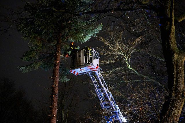 20 February 2022, Hamburg: As a precaution, firefighters cut down a spruce that was in danger of toppling due to its shallow roots and the soggy ground. First "Ylenia", then "Zeynep" and now "Antonia": The series of severe storms is not stopping for the time being. Photo: Jonas Walzberg\/dpa