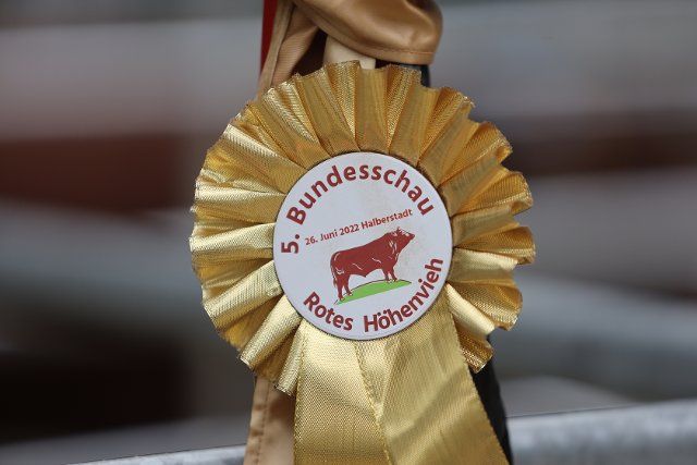 26 June 2022, Saxony-Anhalt, Halberstadt: A winner\