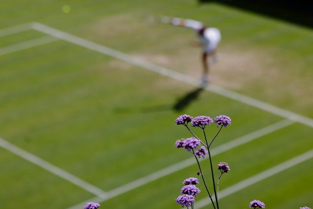 01 July 2022, Great Britain, London: Tennis: Grand Slam\/WTA Tour - Wimbledon, singles 3rd round. Niemeier (Germany) - Tsurenko (Ukraine). Jule Niemeier is in action. Photo: Frank Molter\/dpa