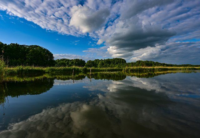 29 May 2022, Brandenburg, Berkenbrück: The cloudy sky is reflected in a small lake near the Fürstenwalder Spree, a section of the approximately 400-kilometer-long Spree River. Photo: Patrick Pleul\/dpa