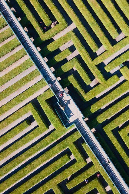 16 August 2022, Saxony, Kleinwelka: Visitors walk along the maze between the evergreen thuja hedge plants. The maze on a former rapeseed field near Bautzen celebrates its 30th anniversary in 2022. (Aerial view with a drone) Photo: Sebastian Kahnert\/dpa