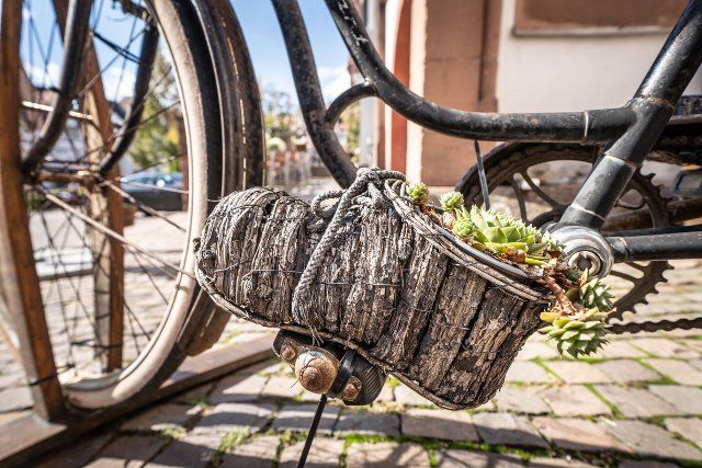30 September 2022, Hessen, Gelnhausen: A bark flower pot in the shape of a shoe is stuck on the pedal of an old bicycle on the edge of Gelnhausen\