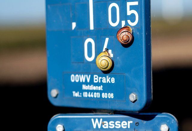 30 September 2022, Lower Saxony, Elsfleth: Two snails crawl on a blue sign indicating road fixtures for water supply. Photo: Hauke-Christian Dittrich\/dpa