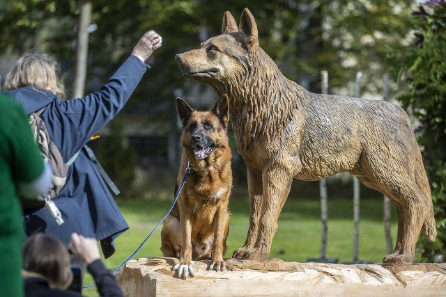 25 September 2022, North Rhine-Westphalia, Cologne: A woman animates her German shepherd to look for a photo at a large dog statue at the "German Petfluencer Awards" party and ceremony. Social media channels of animals that are particularly successful are awarded. More than 350 dogs are expected to attend. With dog ice cream parlor, dog swimming and hot dogs for four-legged friends. Photo: Christoph Reichwein\/dpa
