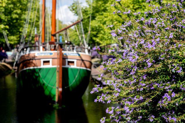 30 August 2022, Lower Saxony, Papenburg: The replica of a historic cuff, a cargo ship typical of Papenburg, named "Margaretha von Papenburg" lies in sunny weather in the main canal in the city center behind flowering plants. Photo: Hauke-Christian Dittrich\/dpa