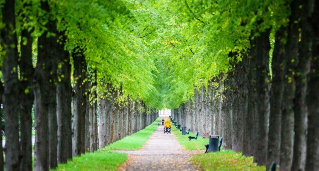 26 September 2022, Lower Saxony, Hanover: Passers-by walk through the Herrenhäuser Allee at the Herrenhäuser Gardens. Photo: Julian Stratenschulte\/dpa