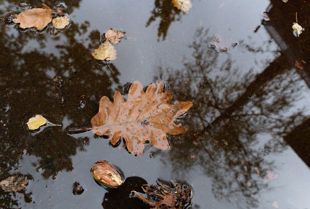 26 September 2022, Baden-Wuerttemberg, Stuttgart: Trees are reflected in a puddle in which leaves float. Photo: Bernd Weißbrod\/dpa