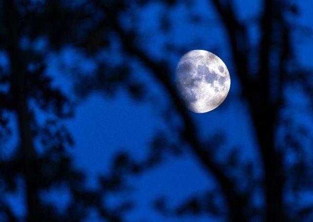 06 October 2022, Mecklenburg-Western Pomerania, Pokrent: The moon rises behind a piece of wall. Photo: Jens Büttner\/dpa