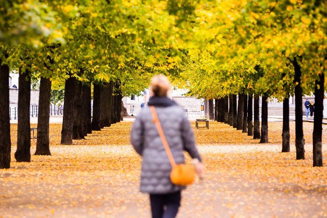 01 October 2022, Berlin: A woman walks between autumn colored trees on Museum Island. Photo: Christoph Soeder\/dpa