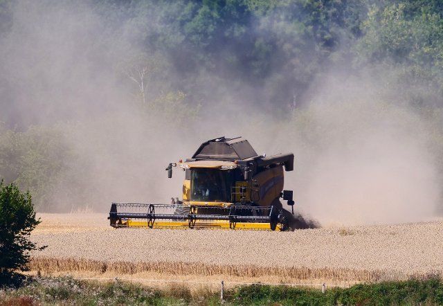 12 August 2022, Schleswig-Holstein, Kappeln: 12.08.2022, Kappeln on the Schlei. A combine harvester drives across a field near Kappeln after a period of drought and drought, kicking up dust. Photo: Wolfram Steinberg\/dpa Photo: Wolfram Steinberg\/dpa