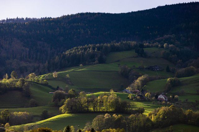 08 November 2022, Baden-Wuerttemberg, Oberried: The morning autumn sun shines on meadows and trees near Oberried. Autumn has been mild in the Black Forest so far. Photo: Philipp von Ditfurth\/dpa
