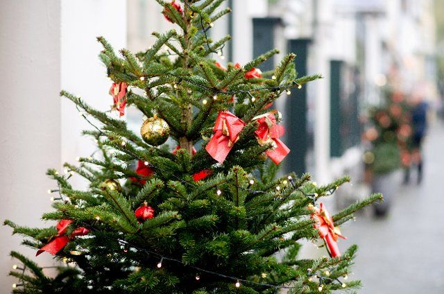 29 November 2022, Lower Saxony, Oldenburg: A Christmas decorated tree stands in front of a store at Schlossplatz in the city center. Photo: Hauke-Christian Dittrich\/dpa
