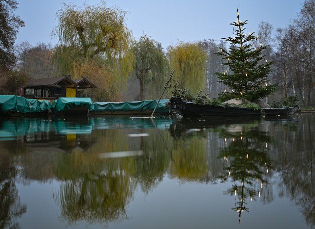 30 November 2022, Brandenburg, Lübbenau: An illuminated Christmas tree stands on a barge in the water at the ferry port. Where countless tourists are on the move in summer, winter rest has now arrived. Photo: Patrick Pleul\/dpa