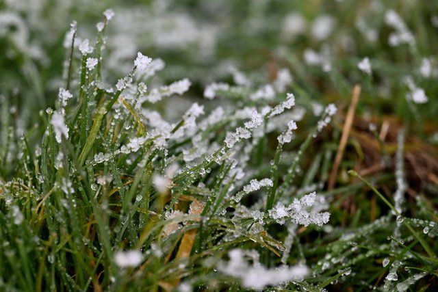04 December 2022, Bavaria, Klais: Ice crystals can be seen on blades of grass. Photo: Angelika Warmuth\/dpa