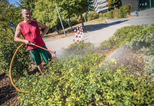 26 July 2018, Germany, Darmstadt: An employee of the Technical University of Darmstadt waters the green plants on the university grounds at the Lichtwiese. Photo: Frank Rumpenhorst\/
