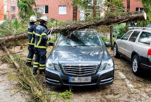 09 August 2018, Germany, Hamburg: Firefighters sawing a tree that lies on a car in the Lohbruegge district after a storm. Photo: Daniel Bockwoldt\/