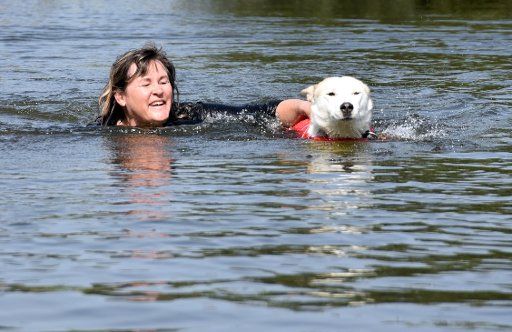 29 August 2018, Saxony-Anhalt, Dannefeld: 29 August 2018, Germany, Dannefeld: Dog owner and animal healer Angela Wiatowski swims in the water with paraplegic husky Lacey during a daily training session. A paraplegic dog? In the north of Saxony-Anhalt, one is in a wheelchair speeding across the grounds of his mistress. This offers the animal with a sad history a temporary home and therapy. (on dpa "A dog in a wheelchair - help for paraplegic Lacey" of 14.09.2018) Photo: Annette Schneider-Solis\/dpa-Zentralbild\/