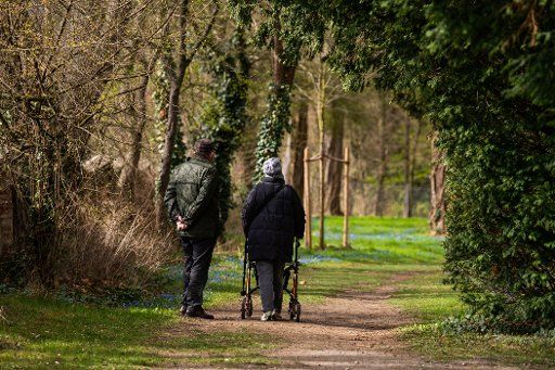18 March 2019, Lower Saxony, Hannover: A man (l) and a woman with Rolator walk through the cemetery at Lindener Berg. Blue stars (Scilla siberica) bloom on the meadows. Photo: Christophe Gateau\/