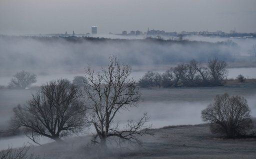 20 March 2019, Brandenburg, Lebus: Shortly before sunrise fog is blowing over the landscape at the German-Polish border river Oder while in the background the city of Frankfurt (Oder) can be seen. Photo: Patrick Pleul\/dpa-Zentralbild\/