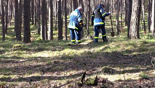 10 April 2019, Brandenburg, Herzberg: Forces of the Technsichen Hilfswerk (THW) and the police search for the missing student Rebecca with a metal detector in a forest near the Herzberg lake. The 15-year-old has been missing since February 18th. The police and prosecution assume that the student was the victim of a crime. Photo: Toni Feist\/dpa-Zentralbild\/