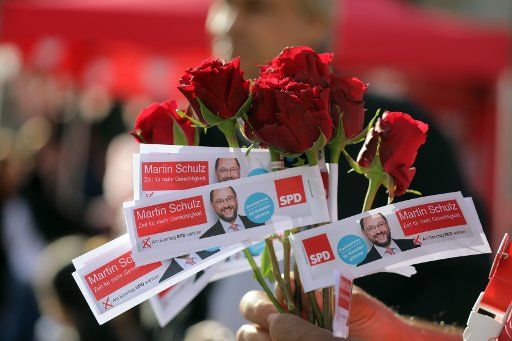 Slips of paper with a picture of the SPD top candidate Schulz are fixed on to roses before a campaign event on the German federal parliamentary elections with top candidate Schulz at the Gendarmenmarkt square in Berlin, Germany, 22 September 2017. ...