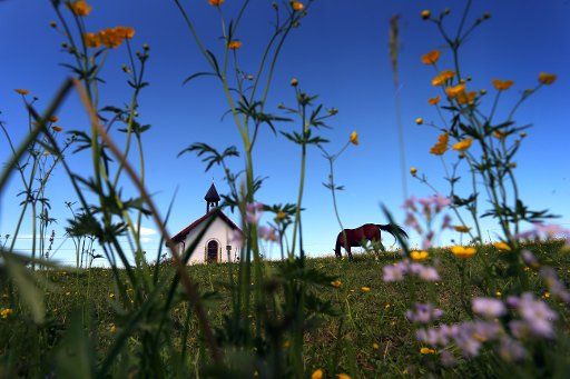 dpatop - 29 April 2018, Germany, Missen: A horse grazing in a flower meadow next to a small chapel. Photo: Karl-Josef Hildenbrand\/