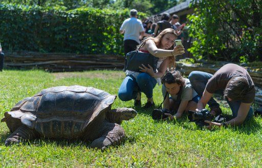 14 May 2018, Germany, Dresden: Journalists take pictures of an Aldabra giant tortoise at its open-air enclosure at the Dresden zoo. Altogether four giant tortoises moved into the open-air enclosure from their winter house after the winter season. Photo: Monika Skolimowska\/dpa-Zentralbild\/